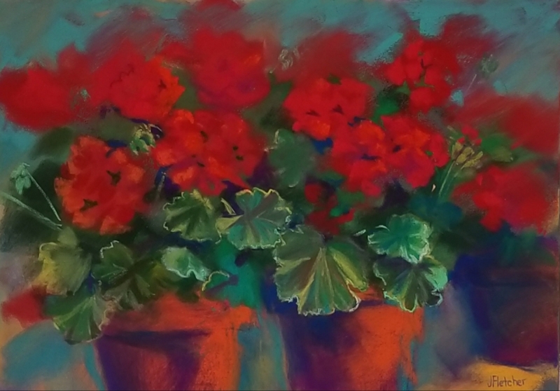 Three Pots of Geraniums by artist Julia Fletcher